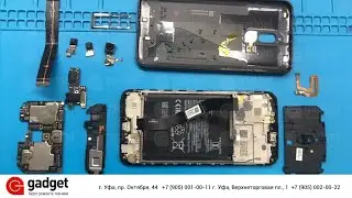 Xiaomi Redmi 8 разбор / Redmi 8 teardown
