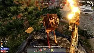 Die
