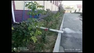 "Мектеп ауласы" атты шеру