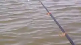 Ейский лиман  Рыбалка