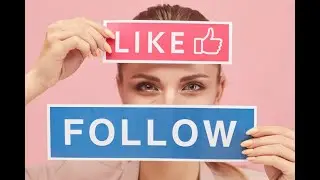 How to Create a Viral Following