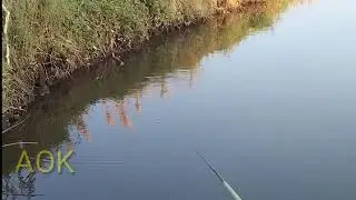 Pesta strek #mancing