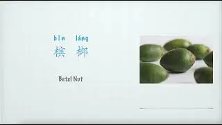 槟榔英文怎么说，水果Fruit：Betel nut