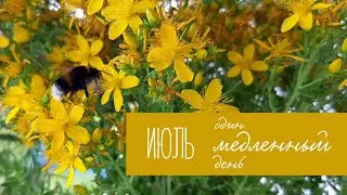 ИЮЛЬ | медленный июльский день и посещение замка Прейсиш-Эйлау | slow july day | Pr. Eylau castle