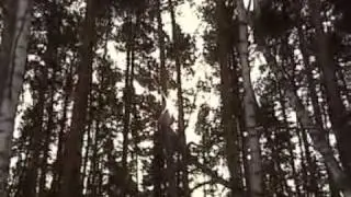 Enjoy The Silence
