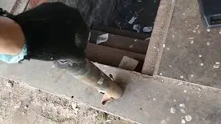 Мерс 124 отца, сборка. Полезные советы.