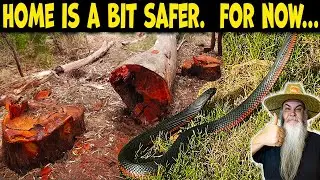 Aussie Garden Tour with Venomous Snake, Deadly Trees & Kangaroos