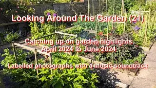 089-Looking Around The Garden (21)-5th June 2024