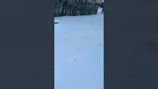 Петарда шухер