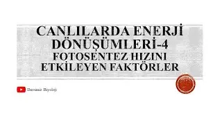 12. Sınıf Canlılarda Enerji Dönüşümleri - 4 - Fotosentez Hızını Etkileyen Faktörler