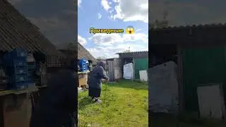 призрак раС 