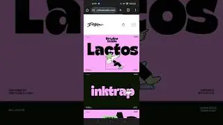 How to Get Free Creative Fonts on Dityline Studio