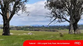 239 Longrail Gully Road Murrumbateman