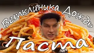 Ветклиника Дождь Паста