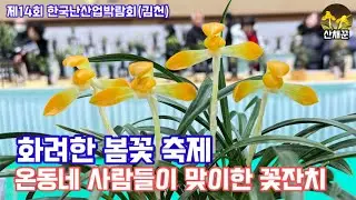 춘란이 꽃피자 온동네 사람들이 맞이한 꽃잔치
