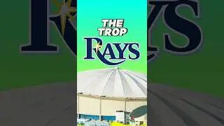 The Tampa Bay Rays Touch Tank At Tropicana Field 🌊 ⚾️ #MLB #Shorts