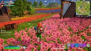 Fortnite_20250226165147