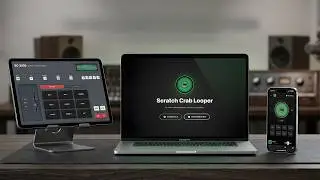 Scratch looper for DJs. Practice your cuts with a virtual turntable and the SC-2400 drum machine.
