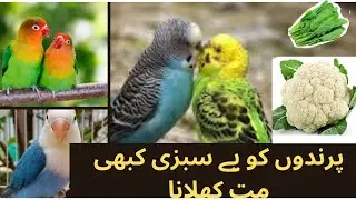apny prindo ko ye sabzia kabhi mat khilay | prindo ko ye sbzian na de