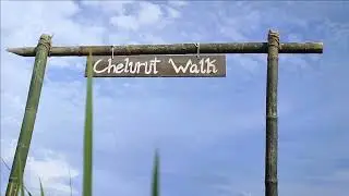 CHELURUT WALK TARIKAN BAHARU PELANCONG DI TANJONG KARANG