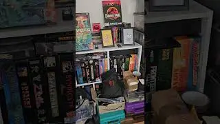 Retro collection 2024