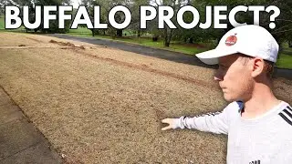 All the Lawn Projects We’re Tackling This Season