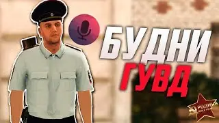 Будни ГУВД на Rodina RP. Голосовой Чат На Родина РП в GTA CRMP