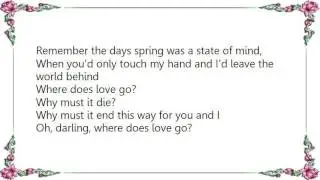Freddie Scott - Where Does Love Go Lyrics