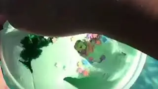 18 августа 2018 г.