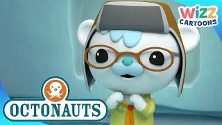 ‪@Octonauts‬
