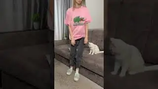 КТО ПЕРЕВЕРНУЛ РАССАДУ?! МЯТА, АЛЯСКА ИЛИ НИКА? 🤔