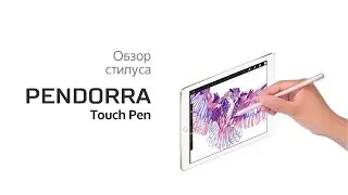 Обзор стилуса Pendorra