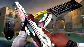 My Best Crosshair 0;P;c;5;o;1;d;1;z;3;f;0;0b;0;1b;0 IN VALORANT
