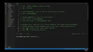 node.js 11 npm and json