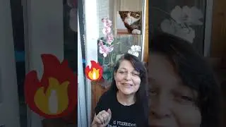 Вредный совет сегодня / Ира пишет миру #настроение