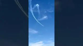The Canadian Forces Snowbirds!