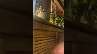 Как получить доступ к Силе Вселенной ! Как кардинально изменить Свою жизнь !