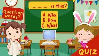 Question Words Quiz in English! | Who, What, Which, Where, When, Why, How| ESL Quiz for Teenagers