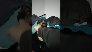 The love of a Pitbull