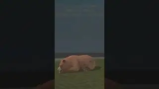 Не так просты, как кажется 