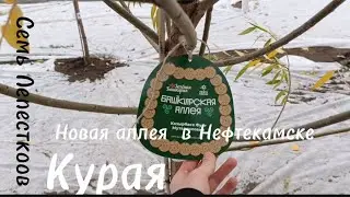 🍁 НОВАЯ АЛЛЕЯ В НЕФТЕКАМСКЕ