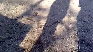 Вызываем Чарли Чарли.