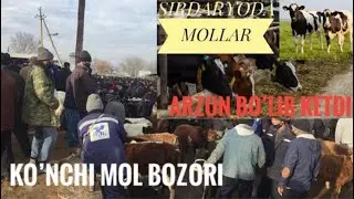 Sirdaryo viloyati Guliston tumani Ko’nchi Mol bozori/ Сирдарё вилояти Гулистон тумани Кунчи