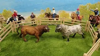 BULL FIGHT/ STOP MOTION/Bull/Touro/Toro