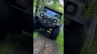 Шторм в тайге