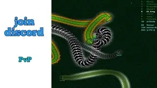 |Wormax.io     Join discord  … PvP …  