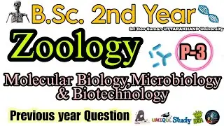 B.Sc.2nd Year Zoology Paper-3 (Molecular Bio. Microbiology & Biotech.) Sri Dev Suman University  PYQ