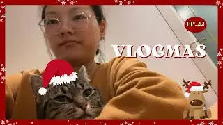 Vlogmas｜🎄荷蘭聖誕月日常｜嚕貓日常、二訪咖啡廳