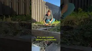 Время, помедленней, пожалуйста #шортс #юмор #прикол