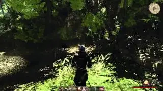 Risen 2   Dark Waters прохождение Часть 50]